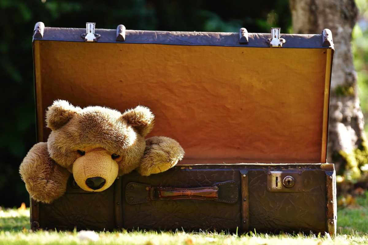 Janod ou Hape : quel jouet en bois pour partir en vacances