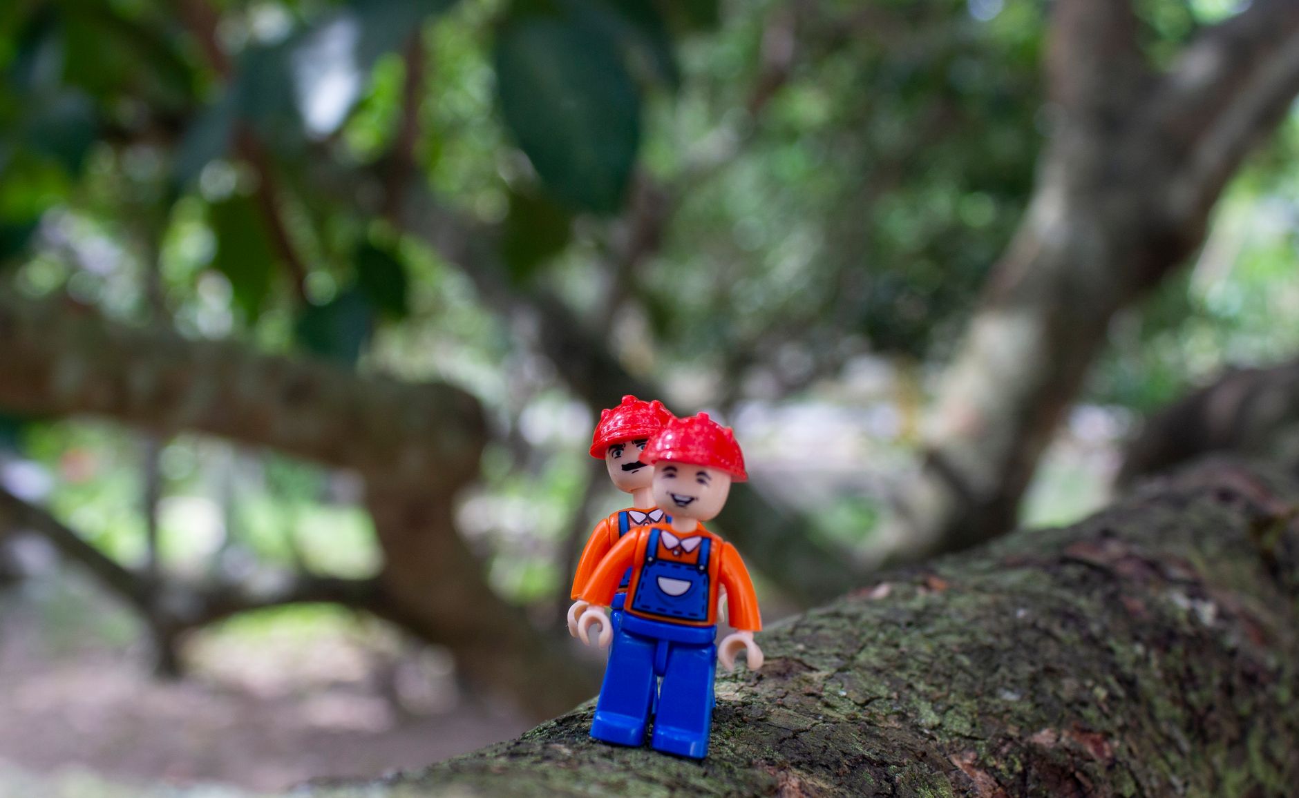 LEGO ou Playmobil : choisir pour une collection de figurines